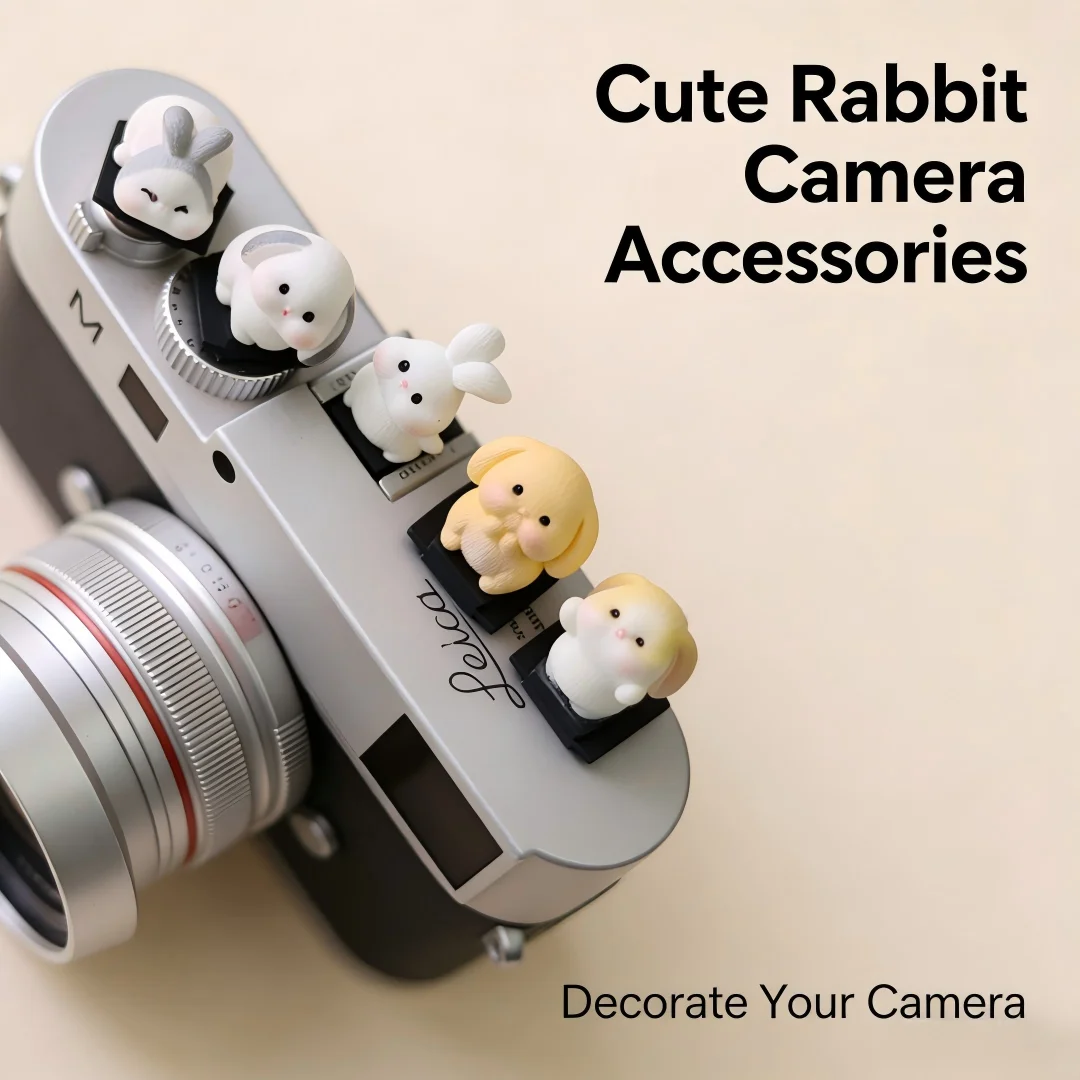 Funny Hot Shoe Cover Universal - Sony Camera Zv-E10 review and price