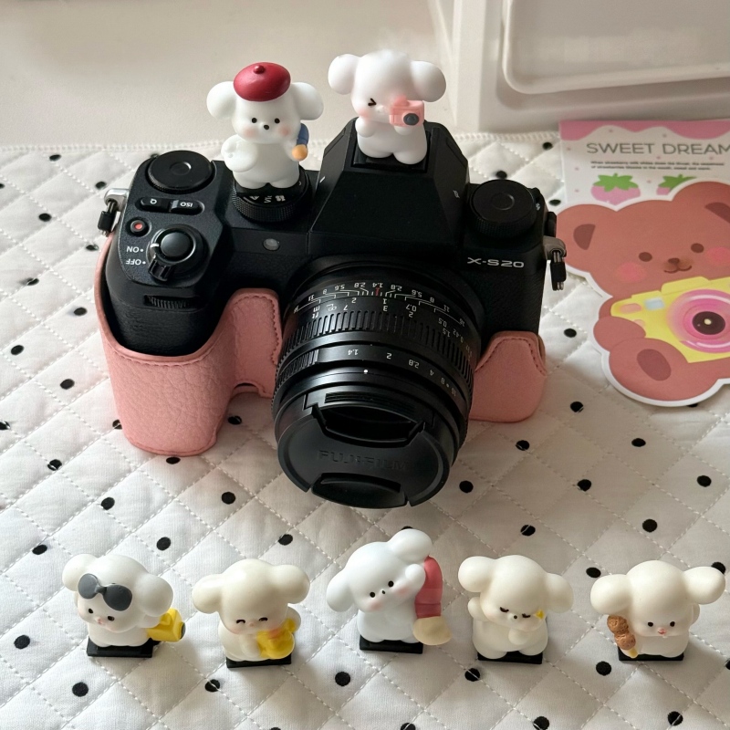 DIY Cute Dog Universal Hot Sho - Sony Camera Zv-E10 review and price